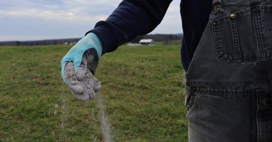 How To Plan An Ash Scattering Experience at Farmstead Scattering Garden?