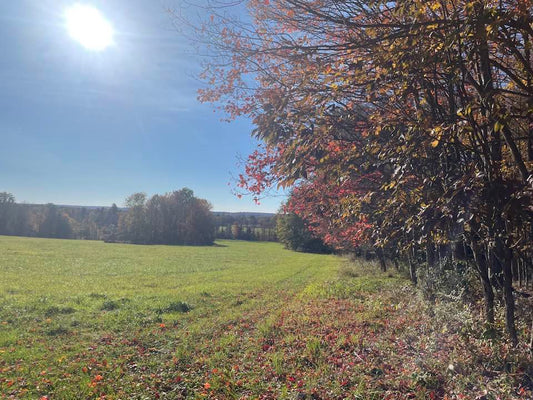 Origin Story of Farmstead’s Mail-In Ash Scattering Service