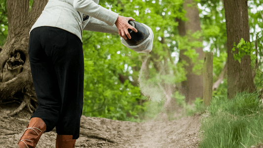 5 Ash Scattering Ideas for Deceased Loved Ones