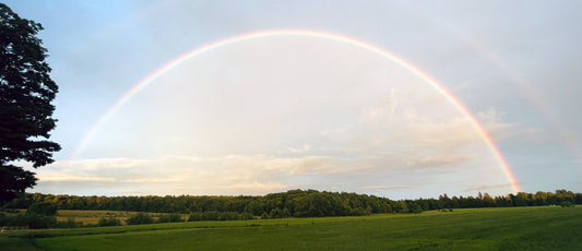 When You Can’t Be There: Making Ash Scatterings Personal Through the Power of Place