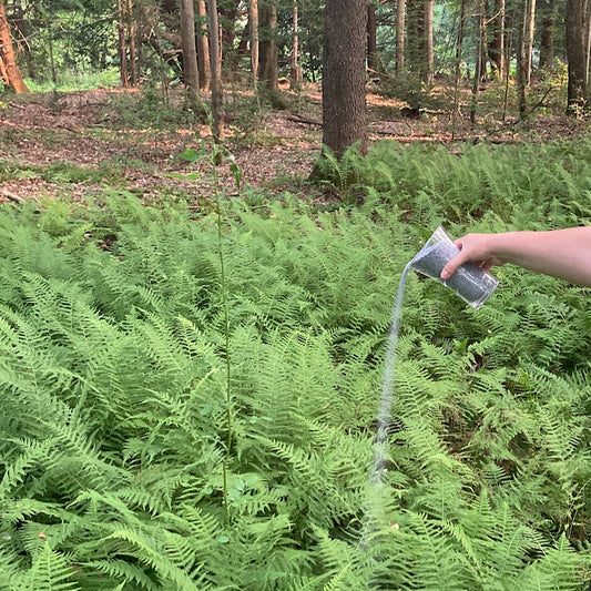 What Is A Scattering Garden?