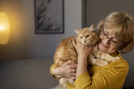How to Choose a Pet Cremation Provider: A Gentle Guide for a Hard Moment