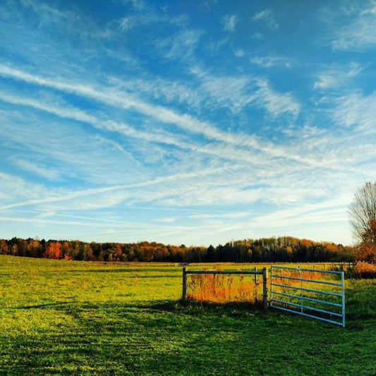 Horse Pasture Pet Ash Scattering Service