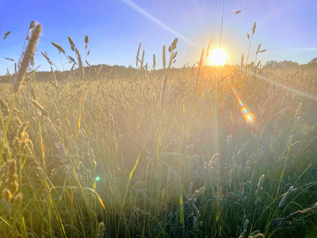 Scattering Ashes in Oregon — A Complete Guide